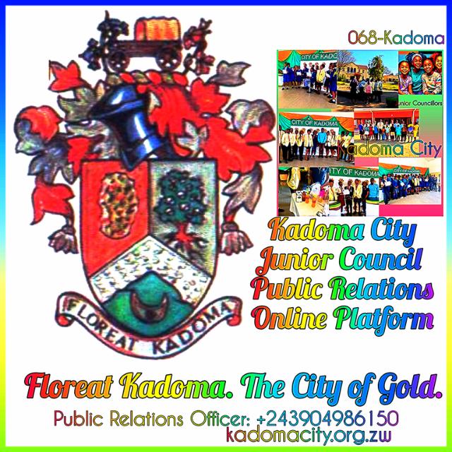 Ryan Junior Council